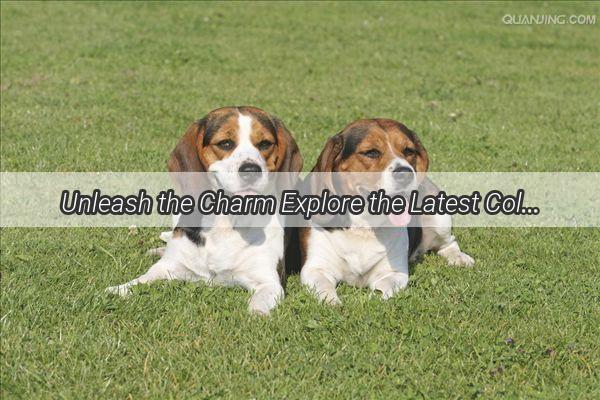 Unleash the Charm Explore the Latest Collection of Dog Figurine Sets for Your Home Decor